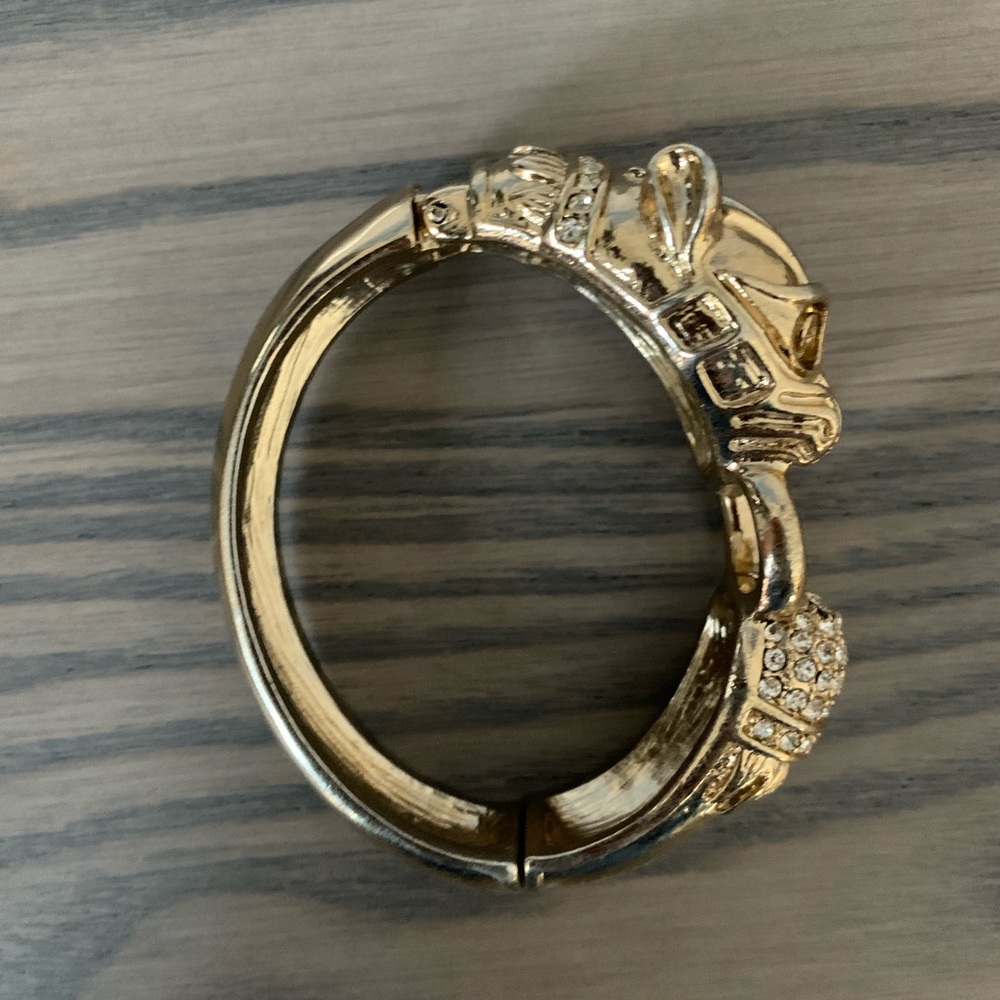 Banana Republic - Tiger Fold clasp bracelet